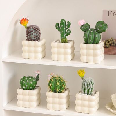 仙人掌盆栽多肉植物仙人球盆栽室内假花办公室桌面装饰摆件
