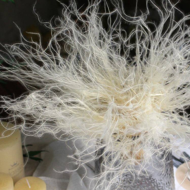 永生羽毛草仙气梦幻干花真花进口高端花材婚庆装饰花束diy配材