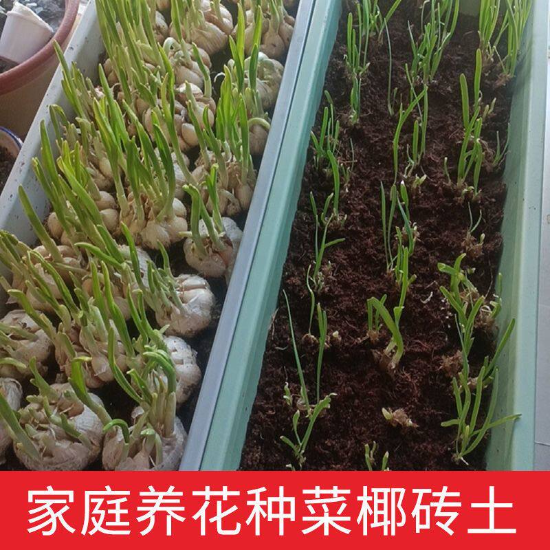 9斤大椰砖大块椰糠砖营养土多肉绿萝园艺耶土通用养花种菜专用土