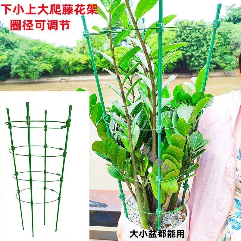 蟹爪兰支架花架支撑杆蟹爪兰支架花支架防倒昙花三角梅爬藤架中等
