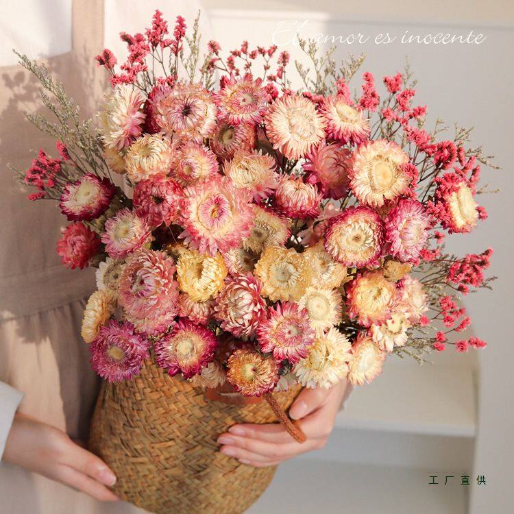 小雏菊干花天然风干真花花束客厅装饰摆设麦秆菠萝菊餐桌面摆件