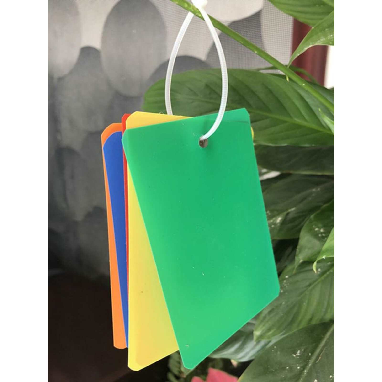 空白产品标识牌pvc塑料小卡片吊卡记号植物园艺挂牌物流标签