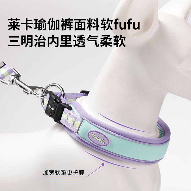 狗狗脖圈项圈小狗泰迪中大型犬脖套防勒宠物专用颈圈遛狗圈牵引绳