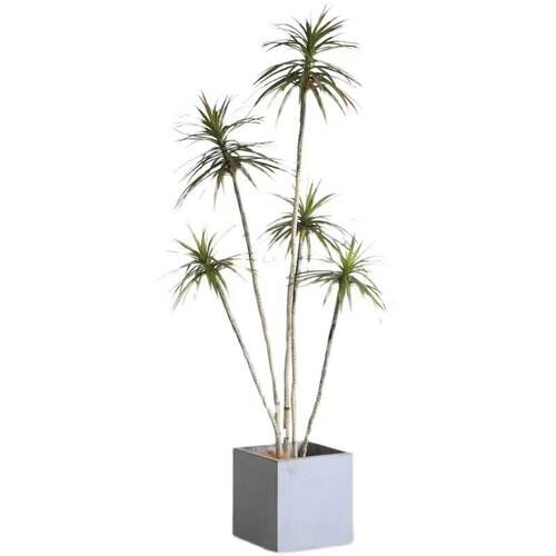 北欧仿真植物千年铁木假树大型绿植盆栽室内客厅装饰落地摆件