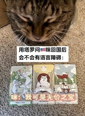 咪：我可是无价之宝！塔罗牌学习塔牌精美创意高颜值桌游游戏聚会