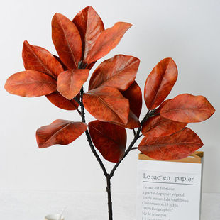 仿真玉兰叶植物玉兰枝茶花绿植造景插花装饰玉兰树白碗花苞叶盆景