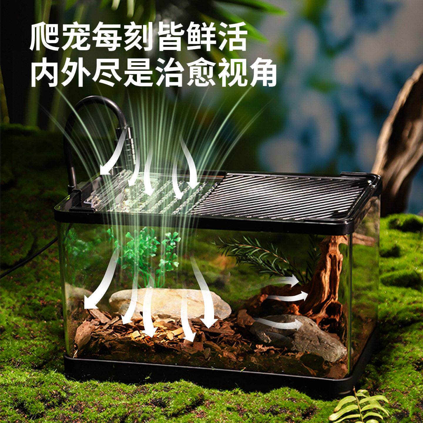 昆虫生态箱小型蜘蛛爬宠螳螂蛐蛐鸣虫养殖观察造景盒子蜥蜴饲养缸