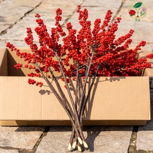 水培北美冬青鲜切高端花束红色果枝客厅装饰摆件年宵花易养护绿植