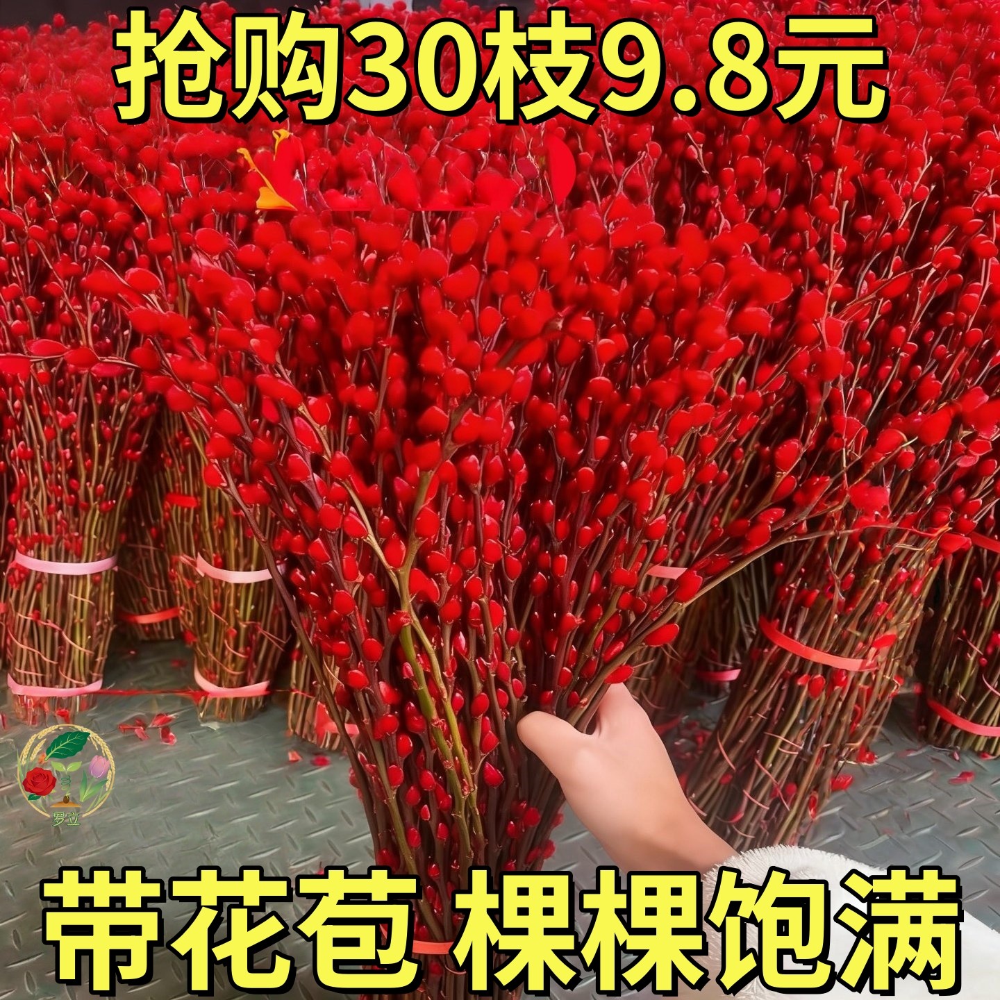 银柳真花鲜枝年宵花卉红色干花福桶银柳水培植物雪柳客厅室内装饰,鲜花速递/花卉仿真/绿植园艺,红掌/凤梨/温室花卉,淘宝优惠券,粉丝福利购,淘宝优惠卷