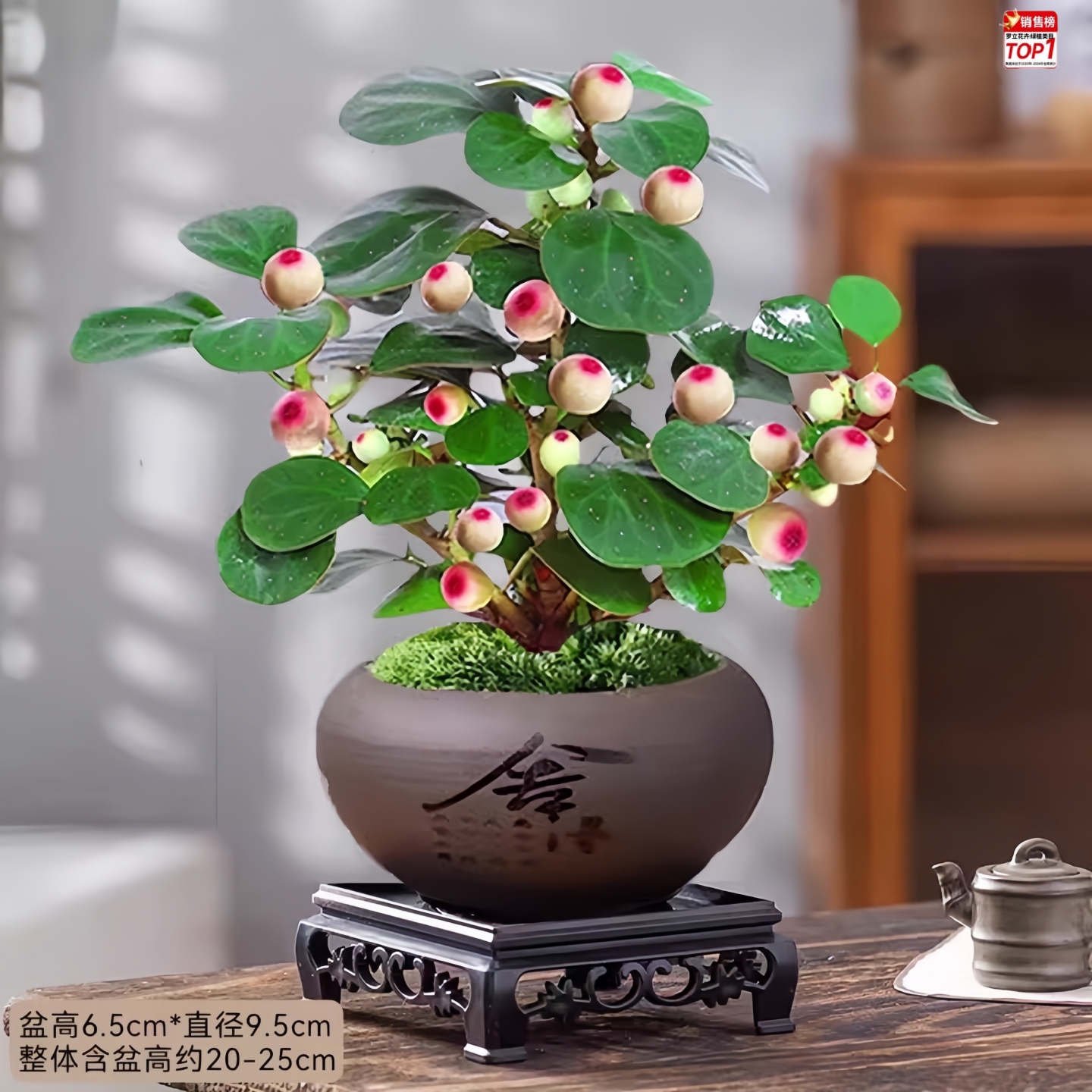 小盼菩提树盆栽带果绿植室内禅意盆景办公室花卉植物桌面好养摆件