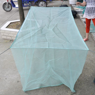 存鱼网箱小型暂养鱼小网箱鱼笼养鱼螃G蟹龙虾网笼吊笼养殖专用折