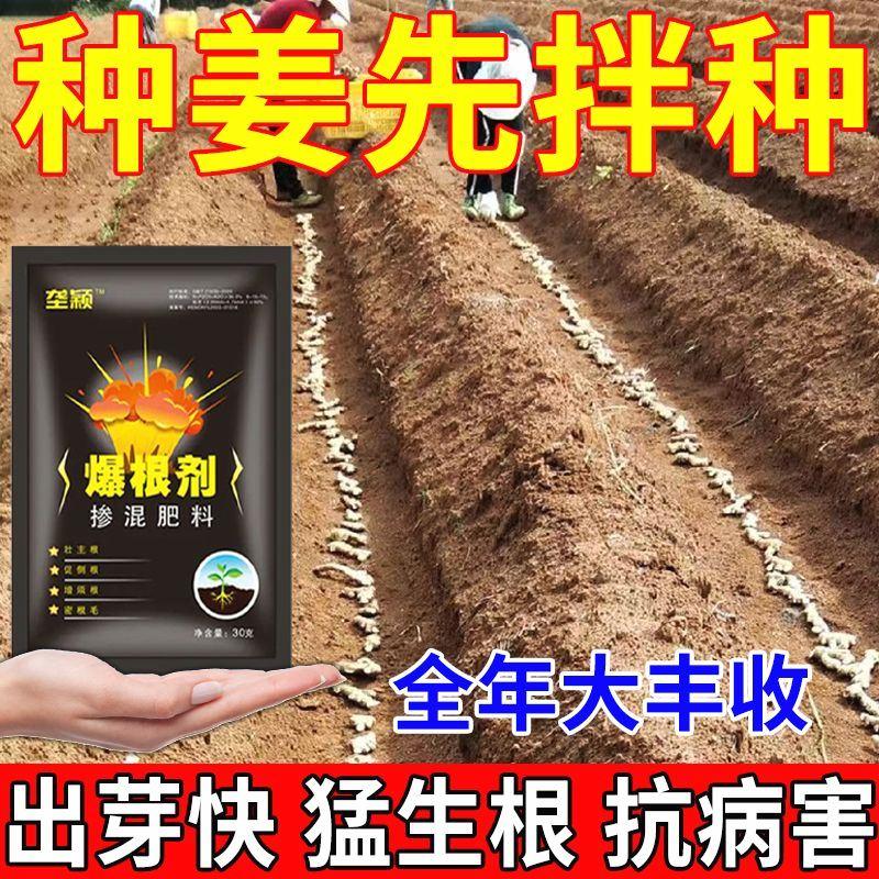 生姜专用拌种剂生根催芽提高产量杀死病原茵预防各病害1包拌400斤