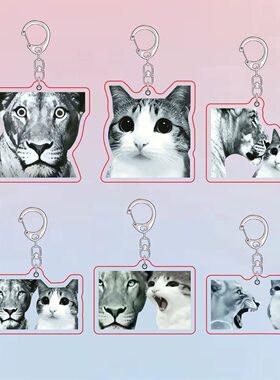 抽象狮子猫咪对吼搞怪双面亚克力钥匙扣学生背包挂件创意沙雕礼物