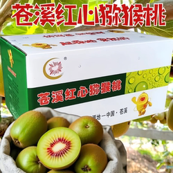 四川苍溪红心猕猴桃10斤礼盒装猕猴桃奇异果当季新鲜水果中秋送礼