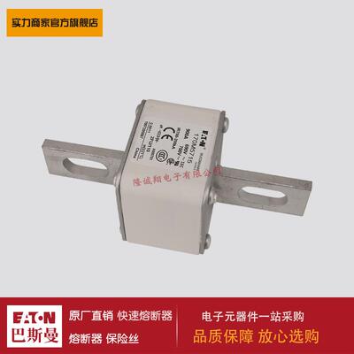 熔断器170M5725 170M5732 170M5733 170M5734 170M5735 170M5751