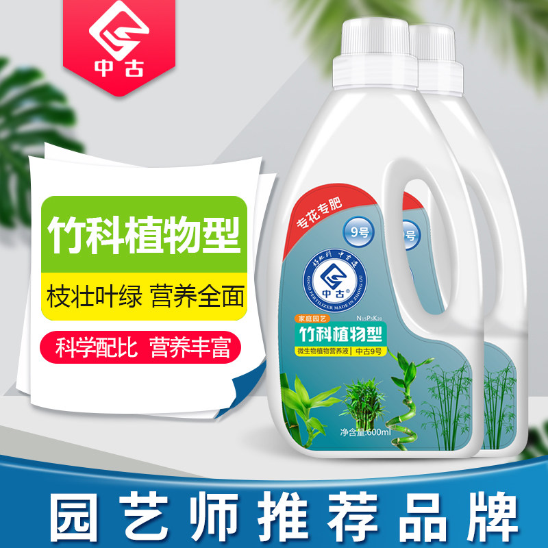 速发号竹科植物型营音液富贵竹转运竹观养竹文竹花肥料