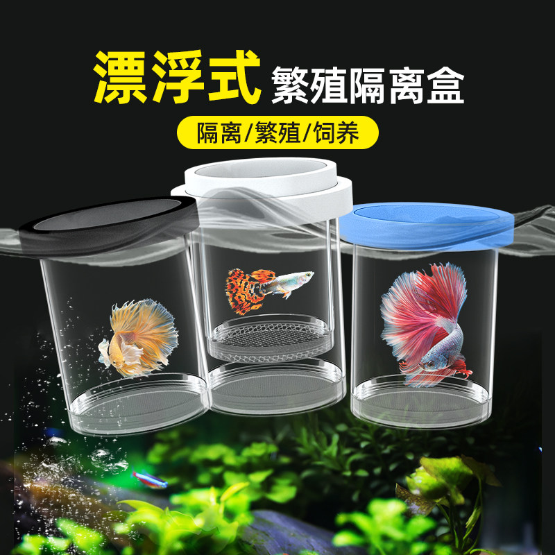 速发繁斗孵化盒小鱼缸鱼小型鹦鹉孔雀鱼浴缸内悬离笼殖鱼隔浮隔离