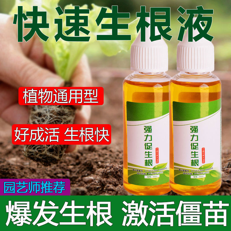 速发快速生根力绿植物通用扦插移栽花卉树木生液壮苗强根剂多肉生
