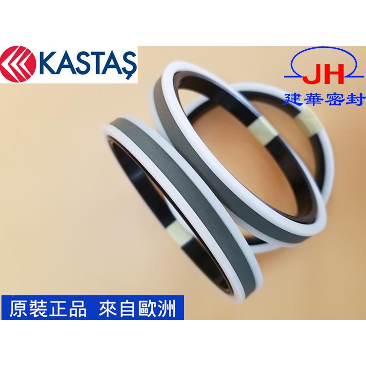 进口土耳其KASTAS卡斯塔斯密封 原装正品 K19/SPGW 油缸活塞油封