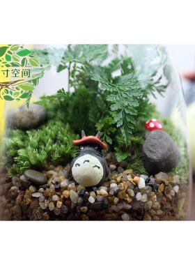 苔藓微摆景观YT瓶新DI创意礼品MSL微景观套装件