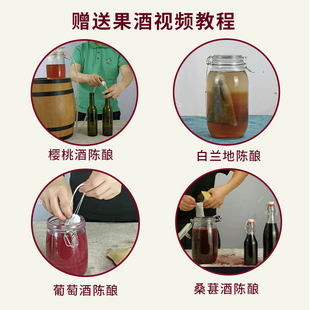 纯液态发酵罐二次发o酵密封罐泡酒瓶陈酿果酒啤酒玻璃水果酒