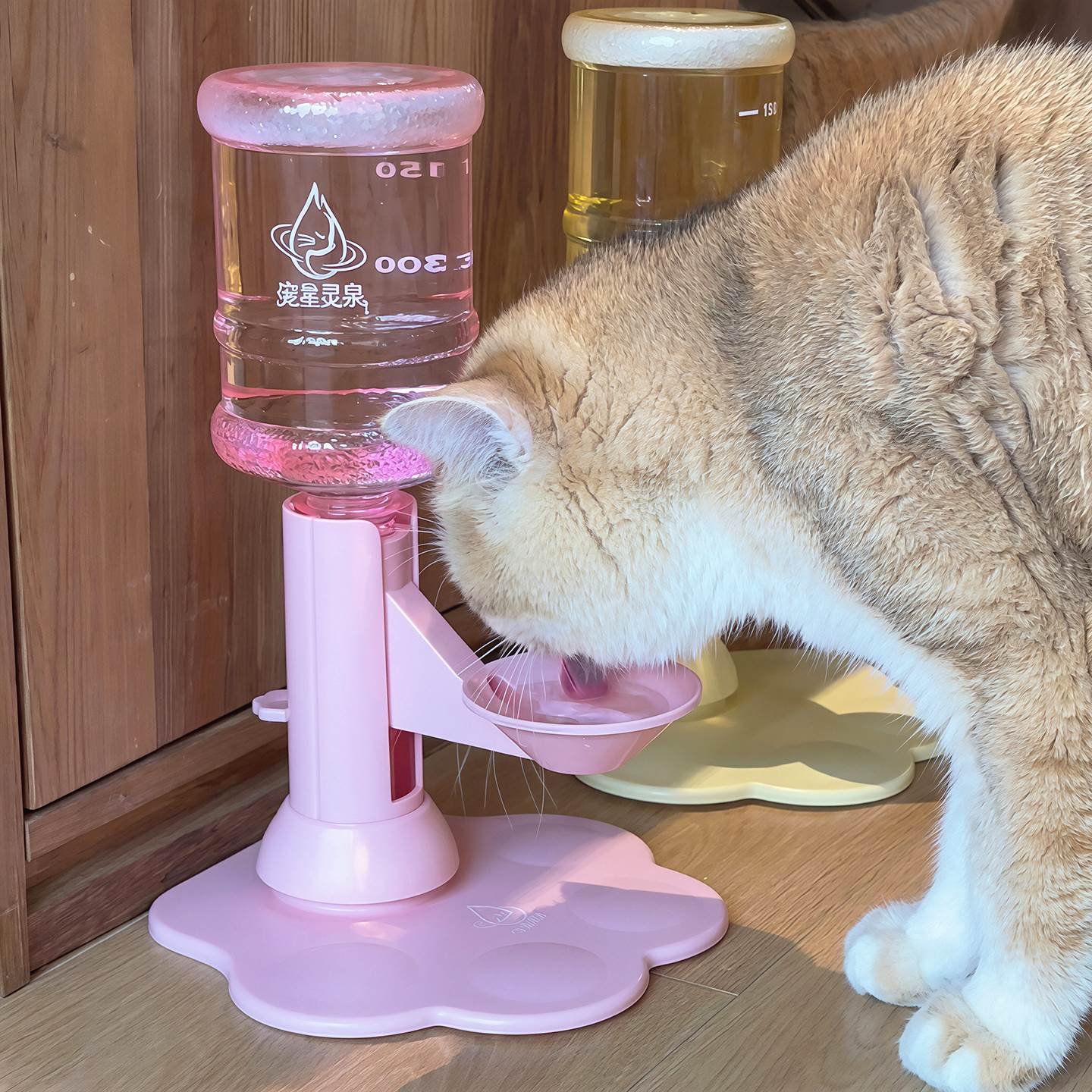 流动水~猫咪自动饮水机自动循环不插电加高护颈底部吸盘不湿下巴