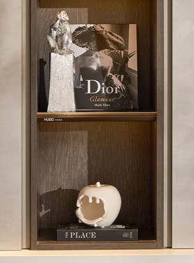 现代软装空间艺术氛围布置书柜书籍道具书假书摆S件装饰书陈列设