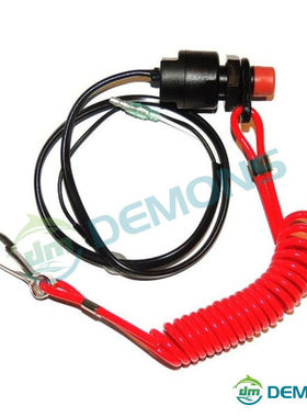 42)2冲40匹船外机熄火开关舷外机挂浆机船用推进器翟墨DEMONS