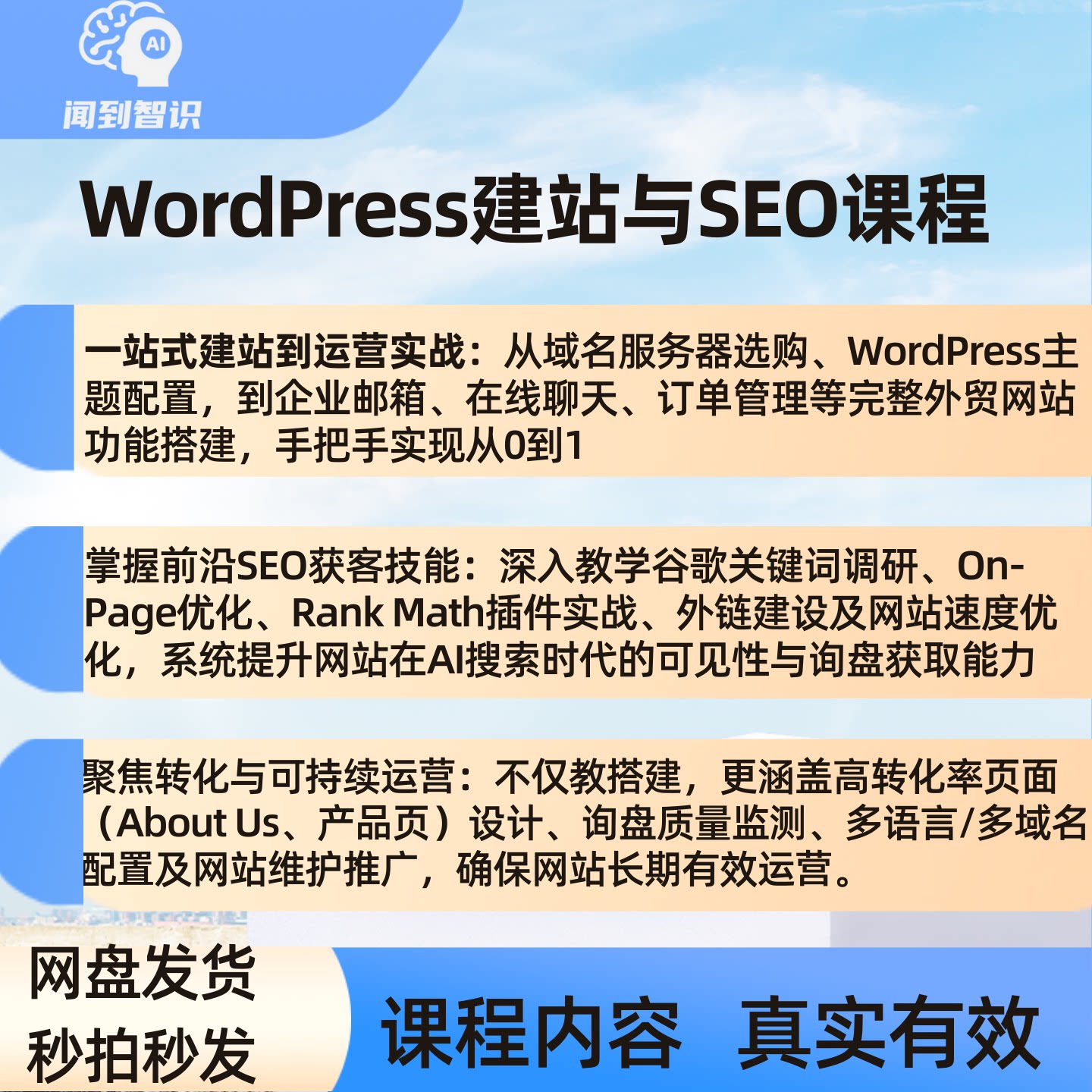 WordPress外贸独立建站教程与SEO优化实战零基础获取谷歌询盘教程