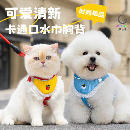 猫咪牵引绳防挣脱遛猫牵引绳可爱猫咪口水巾胸背带外出专用遛猫绳
