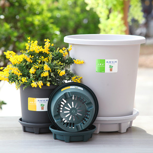 特惠套餐新款J加仑控根圆盆