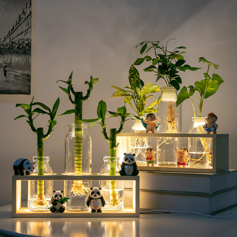 水培植物办公室绿植盆栽富贵竹黄金葛室内花卉客厅装饰W桌面摆件,鲜花速递/花卉仿真/绿植园艺,绿植,淘宝优惠券,粉丝福利购,淘宝优惠卷