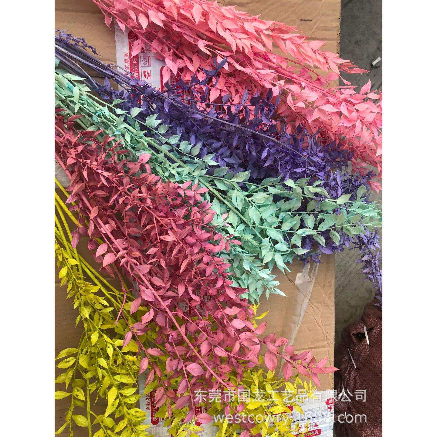 欧洲保鲜绿色富贵叶熊猫竹干花自然干花拍照家居装饰zakka杂货