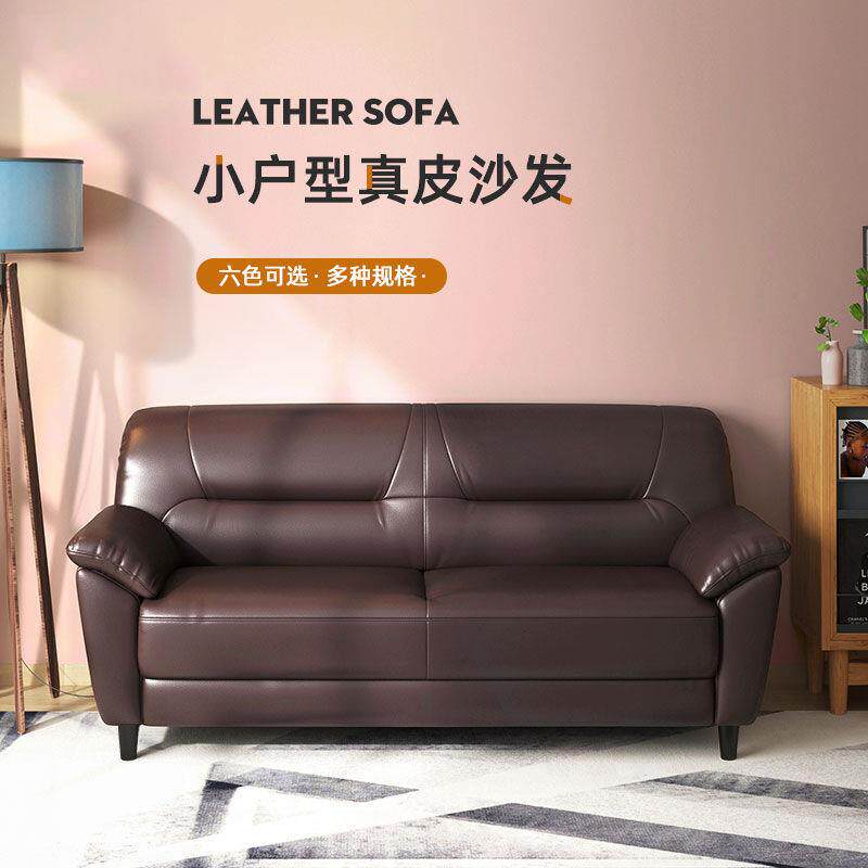 北欧皮沙发双人小户型沙发客厅真皮沙发组合沙发现代简约