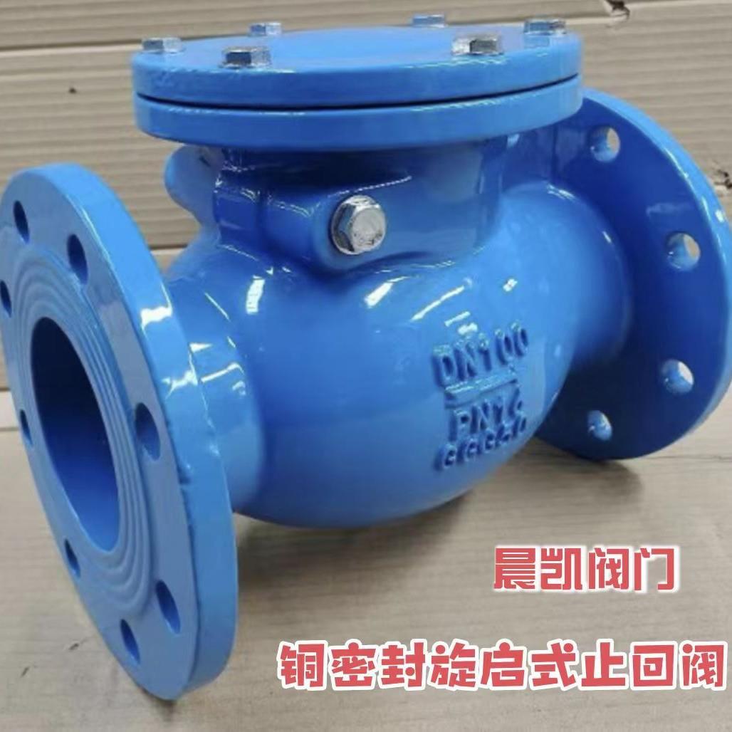 德标国标H44T硬密封旋启式止回阀球墨铸铁材质阀瓣双面焊铜