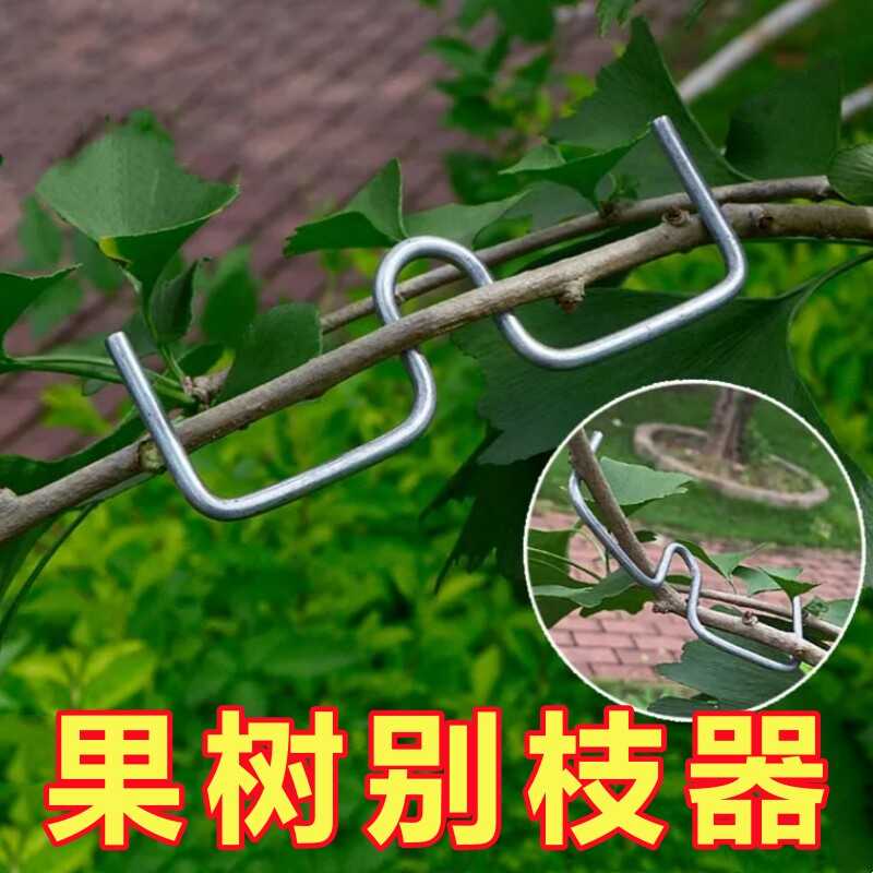 果树拉枝器SM型定型器m型别枝压枝苹果柑橘月季盆景用弯枝夹神器