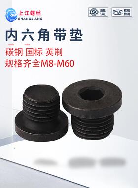 内六角带垫油塞4.8级JB1001英制国标内六角带垫喉塞螺塞堵头闷头