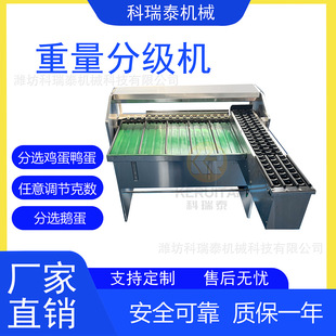 鸡蛋分级机 分选精准 重量分选机一小时5400枚