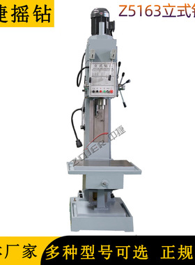 深孔钻床Z5163 金属加工钻床 Z5163 自动钻孔  重型立式钻床厂家