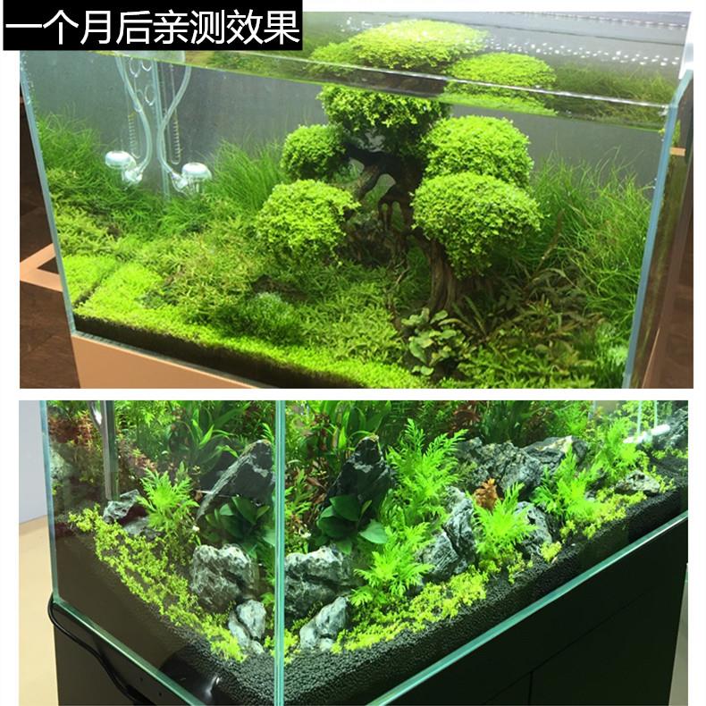 森森缸鱼缸装饰水草森泥森鱼缸草缸水草泥土草造景底套餐 陶砂粒