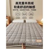 冬加厚保暖羊羔被绒软秋床垫加铺底家用软褥子垫宿舍可20251025折