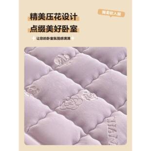 02025新款牛奶绒毛毯床垫家用卧室180x20被褥铺1床褥子0805cdej米