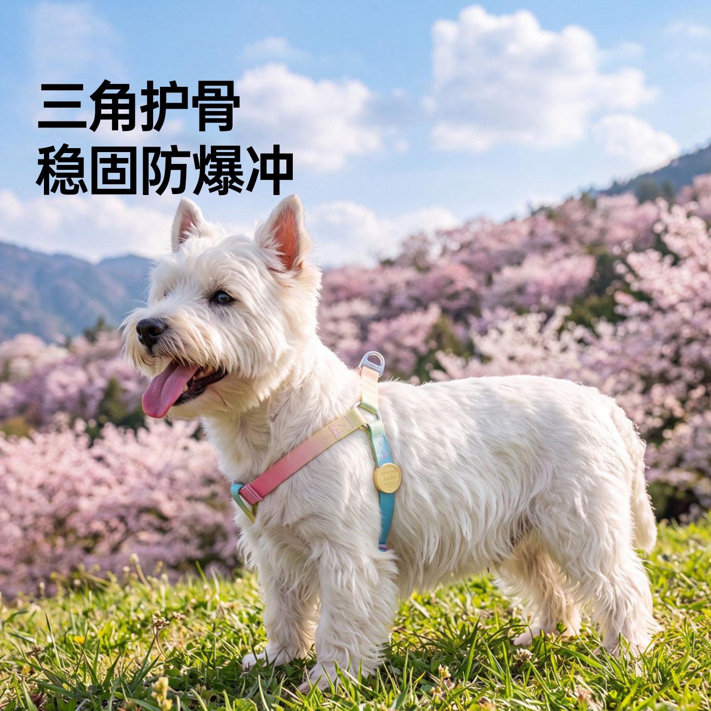 gTou0113chdo 幻彩狗胸背带牵引绳遛狗绳中可小体迷你型茶杯犬用