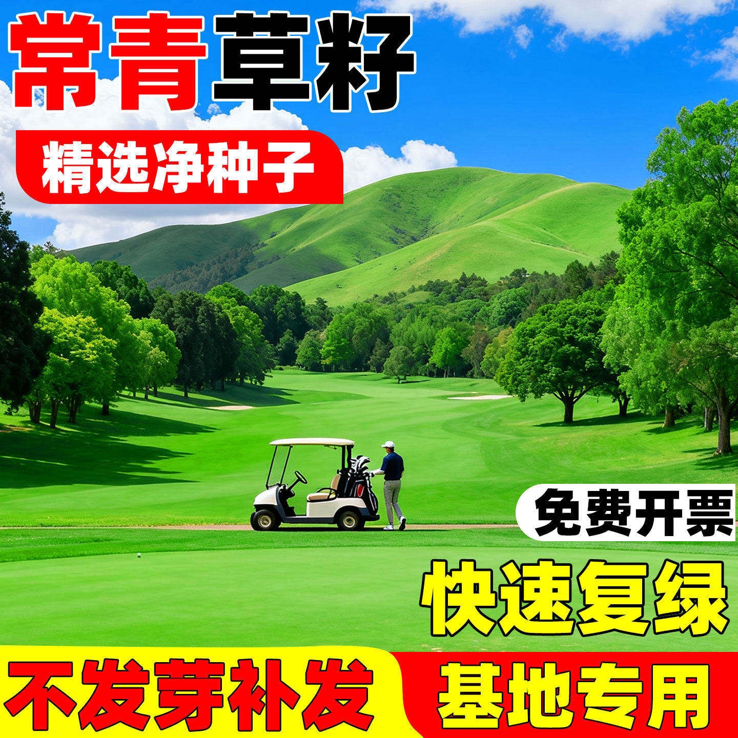 草坪草籽四季常青庭院地毯草皮种子护坡绿化狗牙根波斯菊黑麦草种,鲜花速递/花卉仿真/绿植园艺,家庭园艺种子,淘宝优惠券,粉丝福利购,淘宝优惠卷