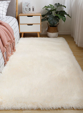 长毛绒白色地垫学习桌踩脚垫入户门厅垫可飘窗毯卧室床边毯宠物垫
