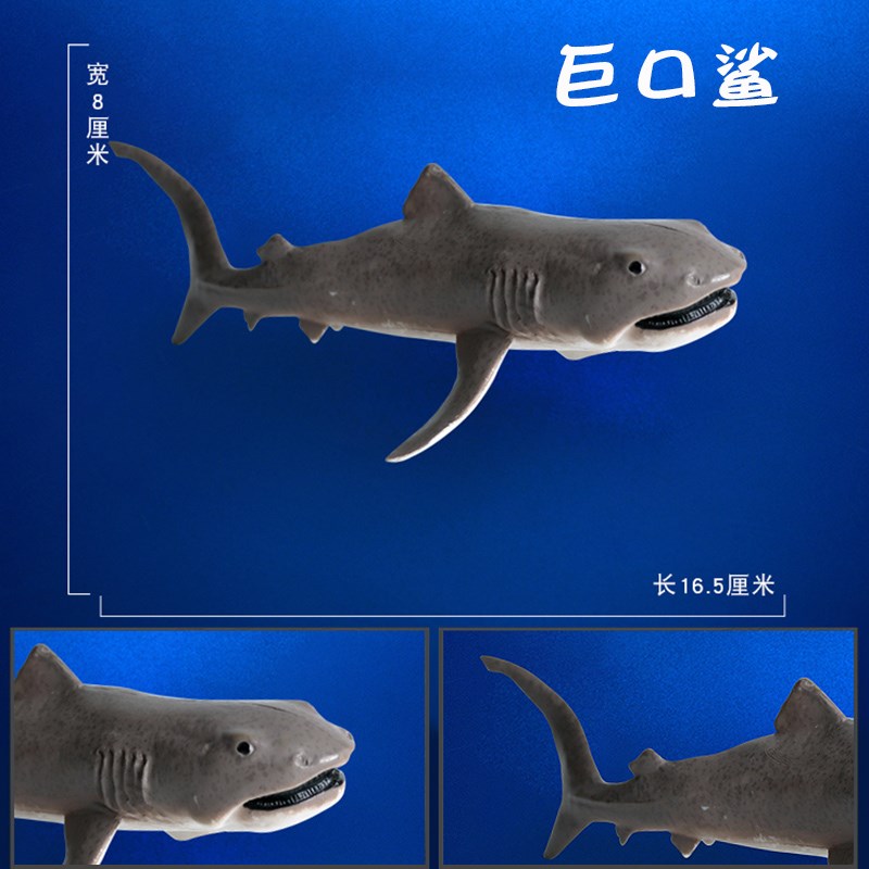 速发儿童海洋玩具巨口鲨模型动物套装深海史前古生物摆件