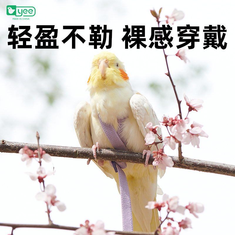 速发鸟用鹦鹉放飞绳玄凤虎皮丹遛飞行外出背带牡鸟神器玩具