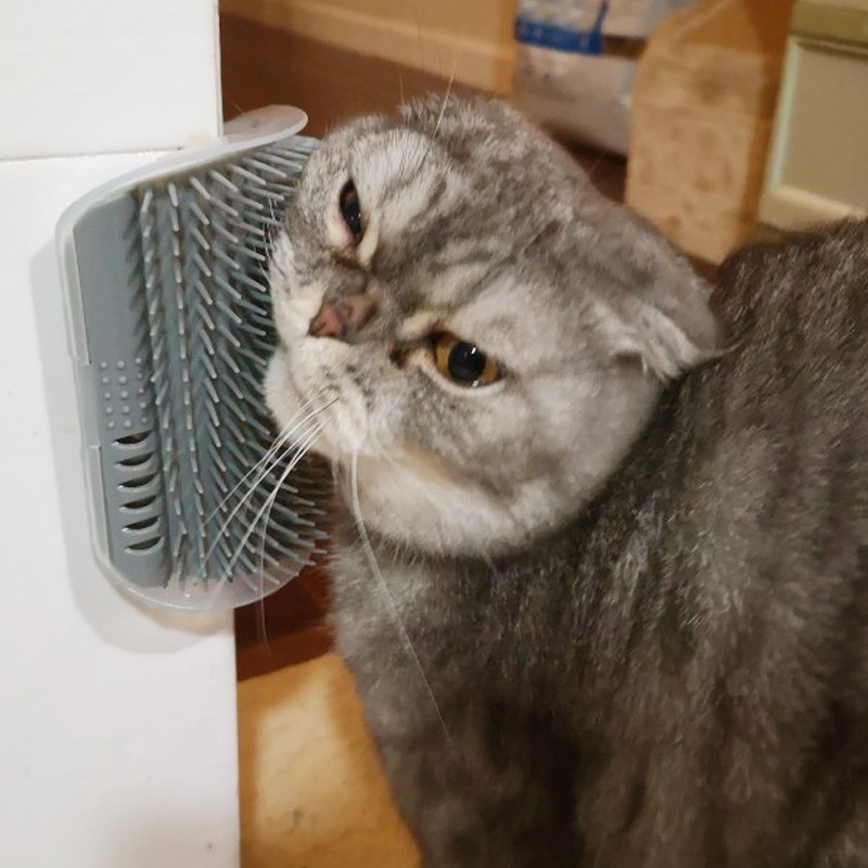 速发摩用墙角蹭毛器猫咪挠痒蹭痒抓痒按猫毛刷神器耐磨猫脸器蹭爪
