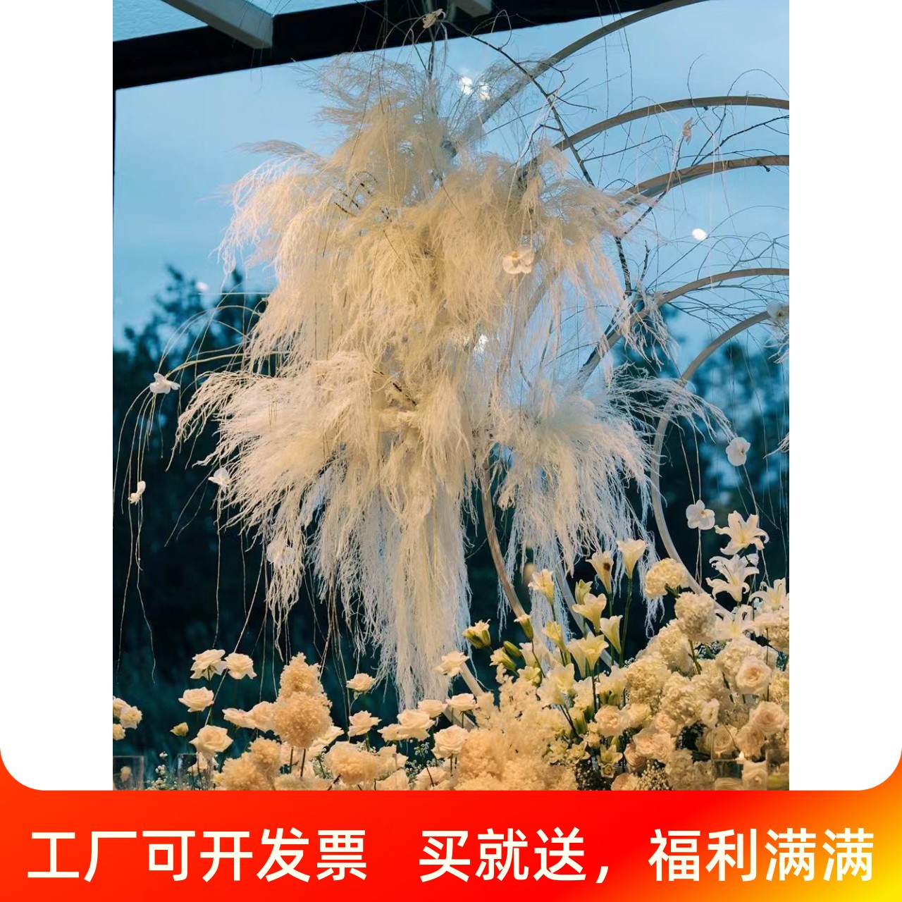 速发永生花龙须草真花婚庆梦幻材材室内羽场布景花料商毛草吊米悬