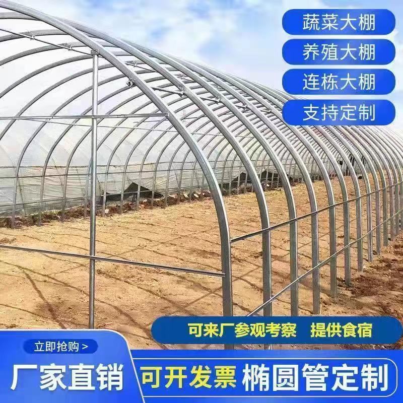 速发温室钢架大棚骨架种植拱棚养殖棚冷暖连体栋棚镀锌圆管全套一